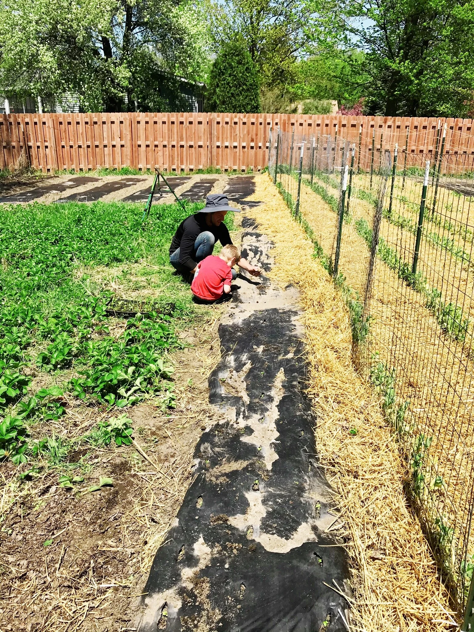 Farm Diaries: Week of May 18th, 2020
